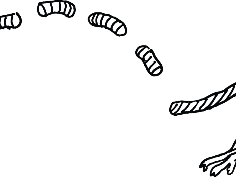 Why is gentle protest&nbsp;important?